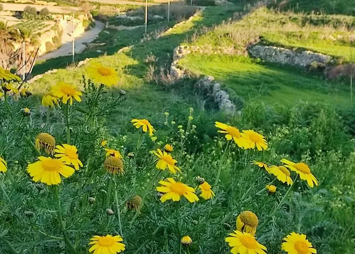 Grotto's Paradise Panzió Għarb