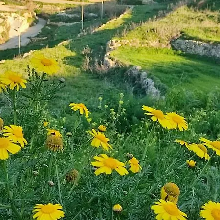 Grotto's Paradise Nocleg ze śniadaniem Għarb