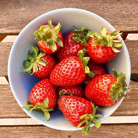 Nocleg ze śniadaniem Grotto's Paradise