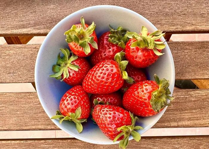 B&B Grotto's Paradise