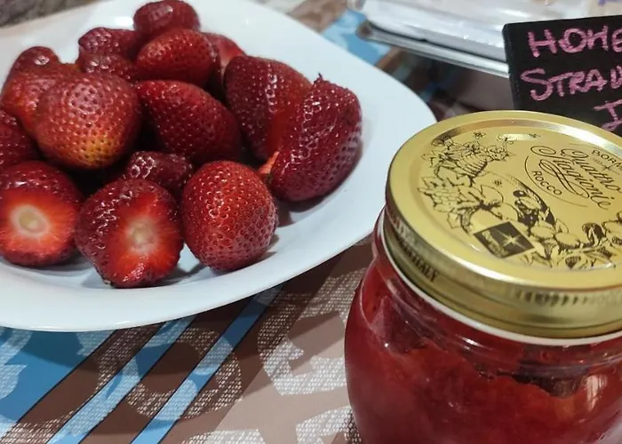 Grotto's Paradise 가르브